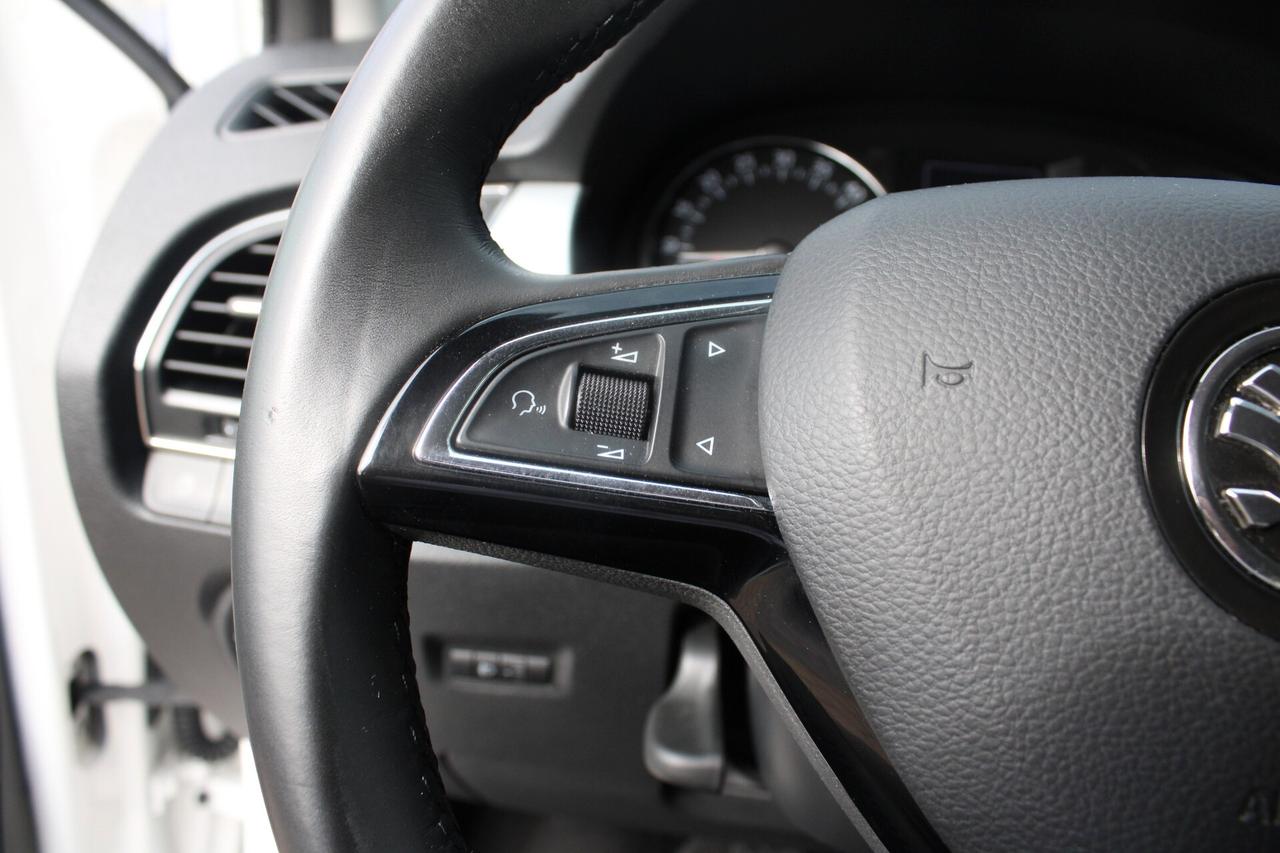 Skoda Fabia 1.4 TDI 90 CV Executive