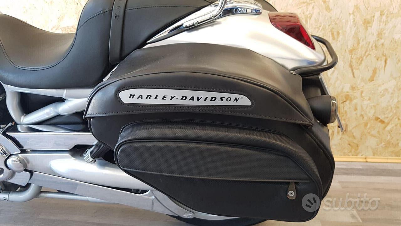 Harley-davidson V-Rod