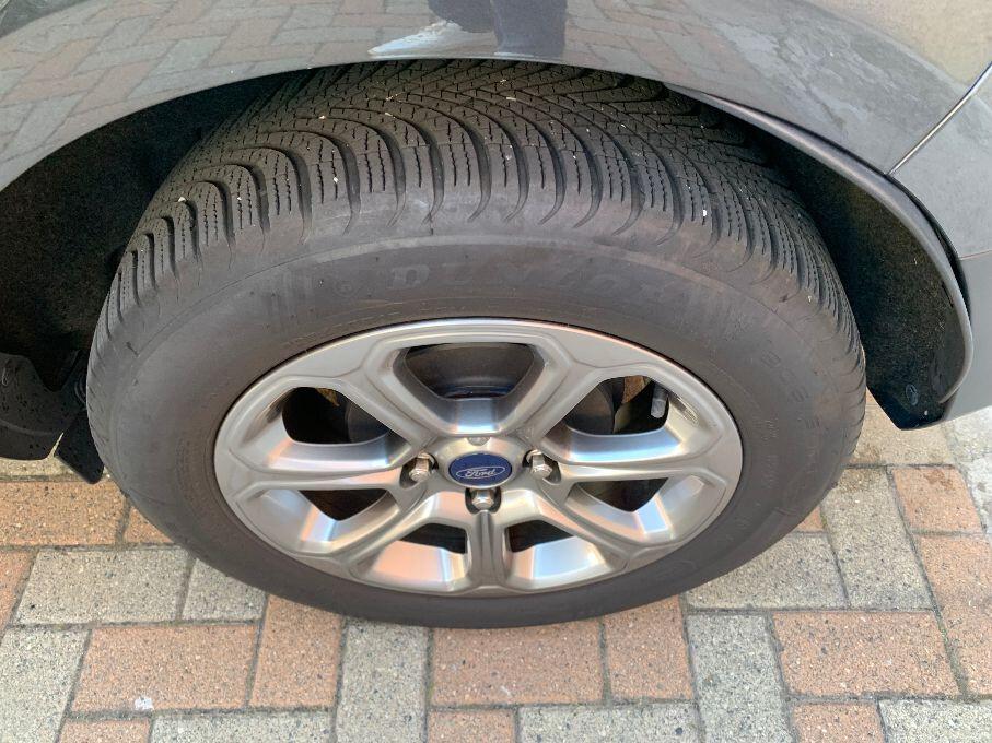 Ford EcoSport 1.5 Ecoblue 100 CV Start&Stop Titanium