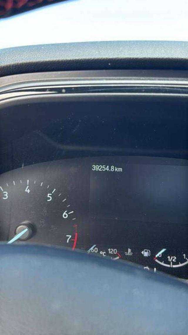 FORD Focus 5p ST-Line 1.0T EcoBoost Hybrid 155 CV Powershift