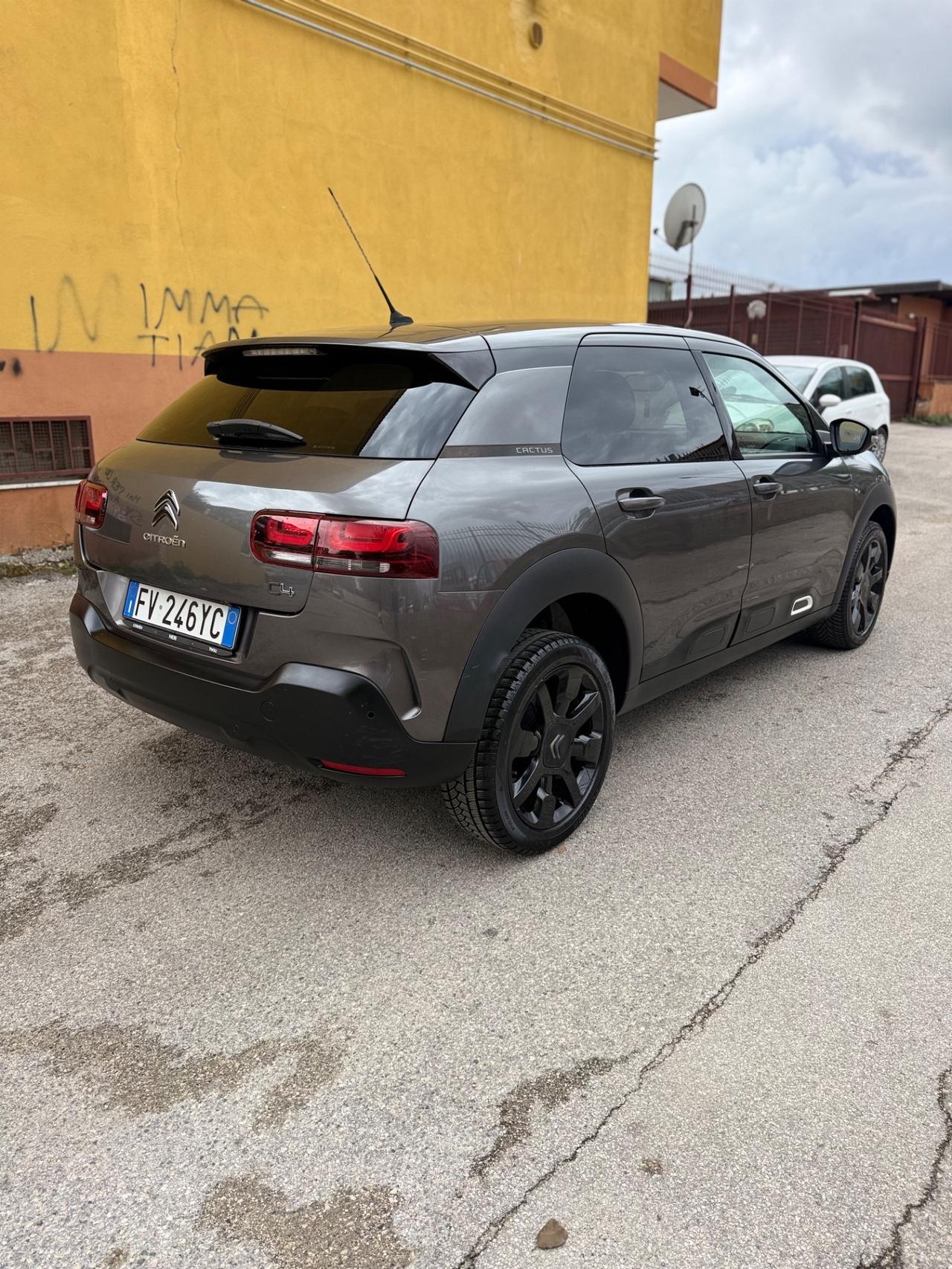 Citroen C4 Cactus BlueHDi 100 S&S Shine