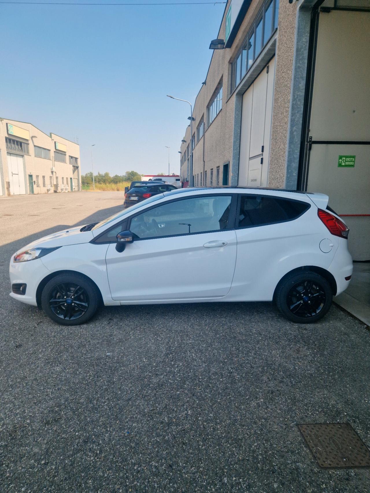 Ford Fiesta 1.4 3 porte Bz.- GPL Black & White Edition