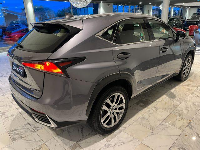 LEXUS NX 300 HYBRID 4WD BUSINESS 155CV