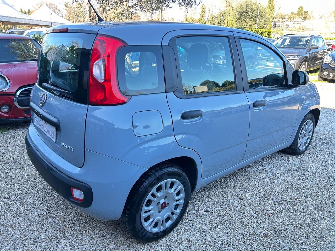 Fiat Panda 1.0 Hybrid*PREZZO REALE*