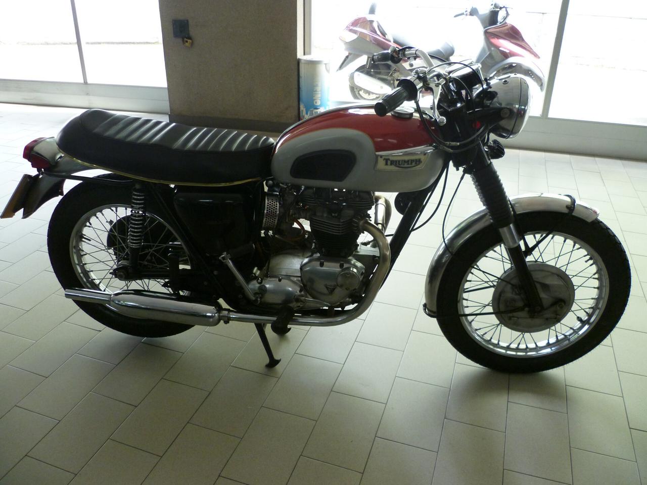 Triumph Bonneville 650 MODELLO AMERICA