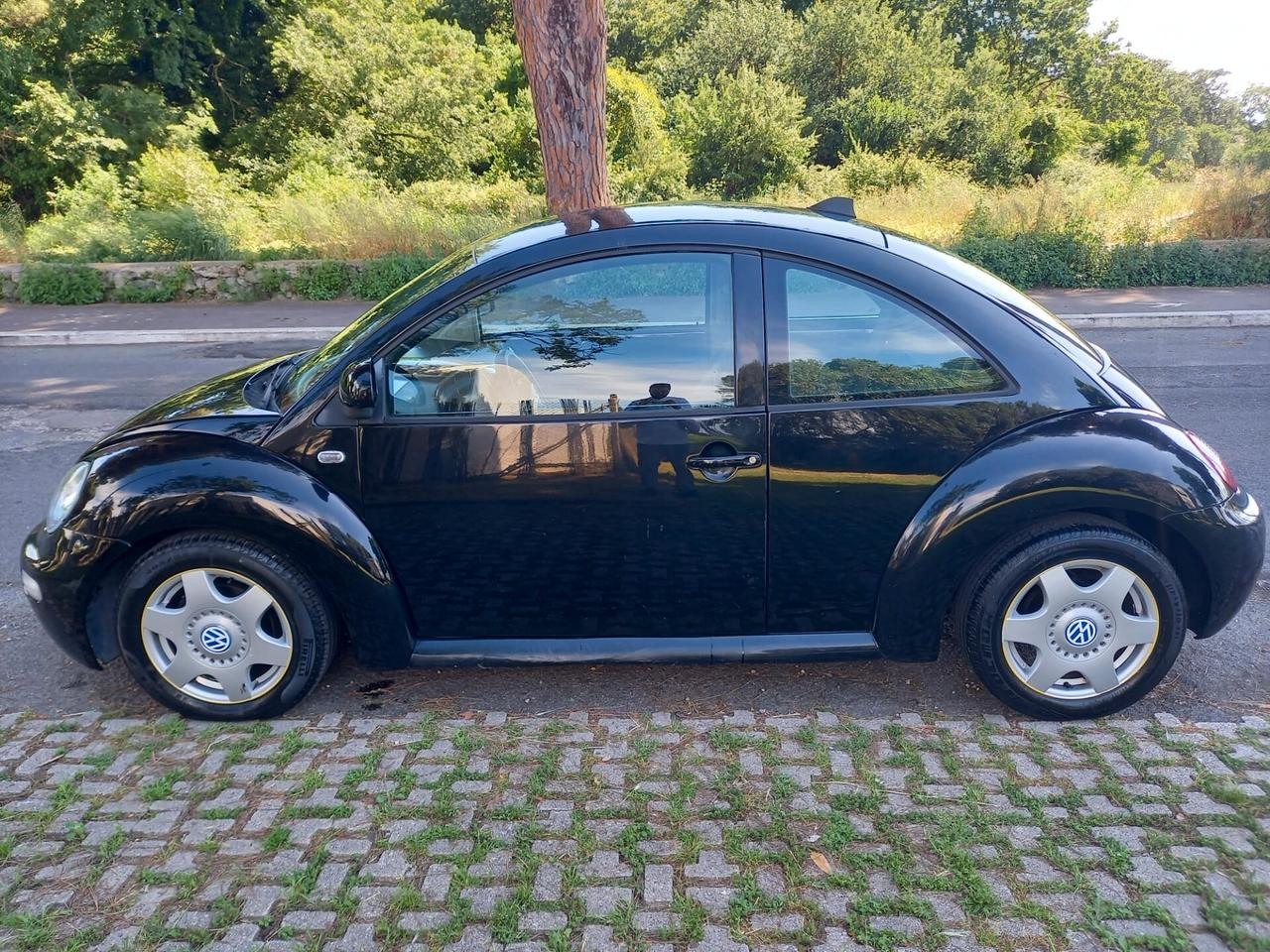 NEW BEETLE ISCRITTA ASI