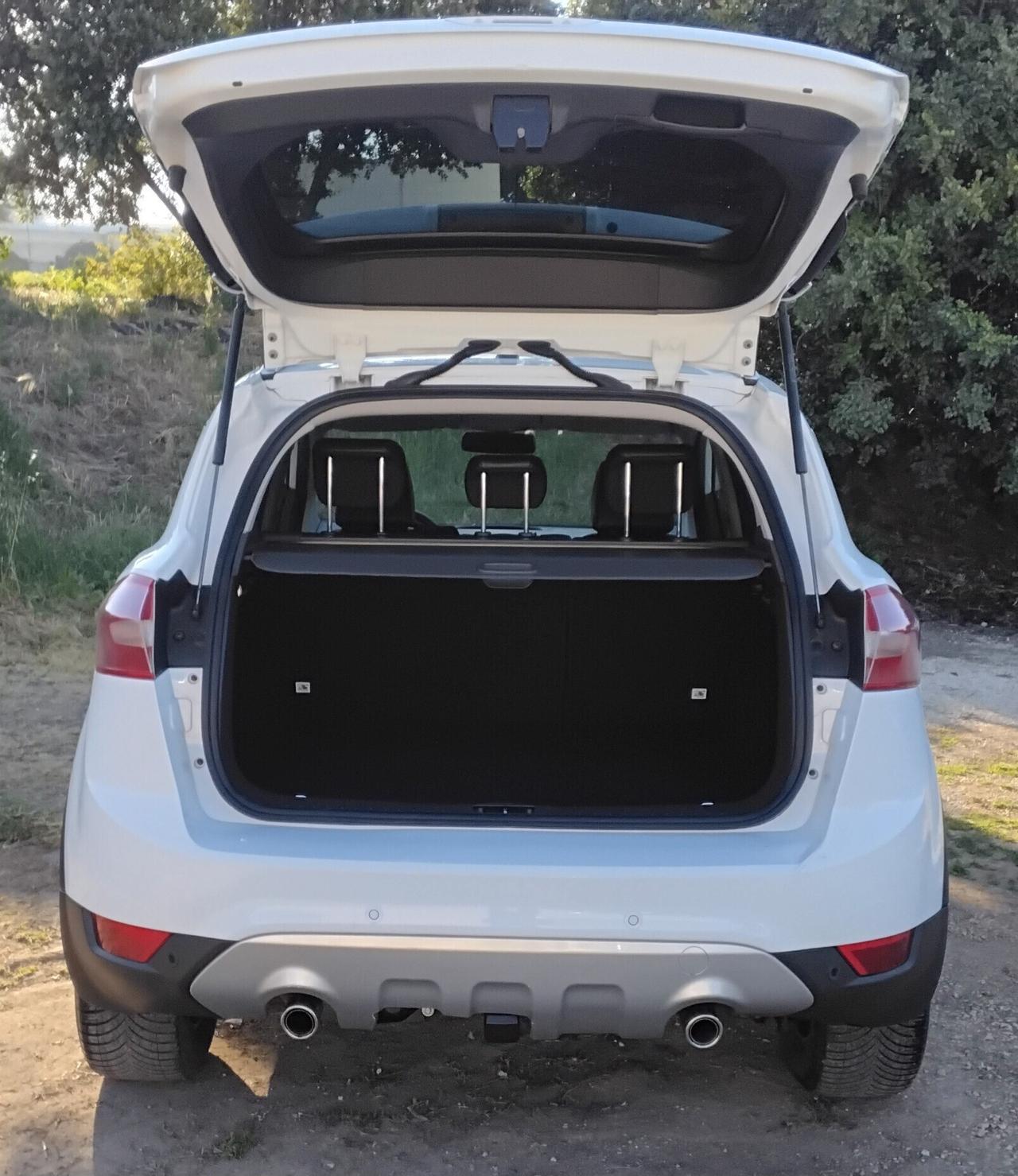 Ford Kuga 2.0 TDCi 163 CV 4WD Titanium DPF