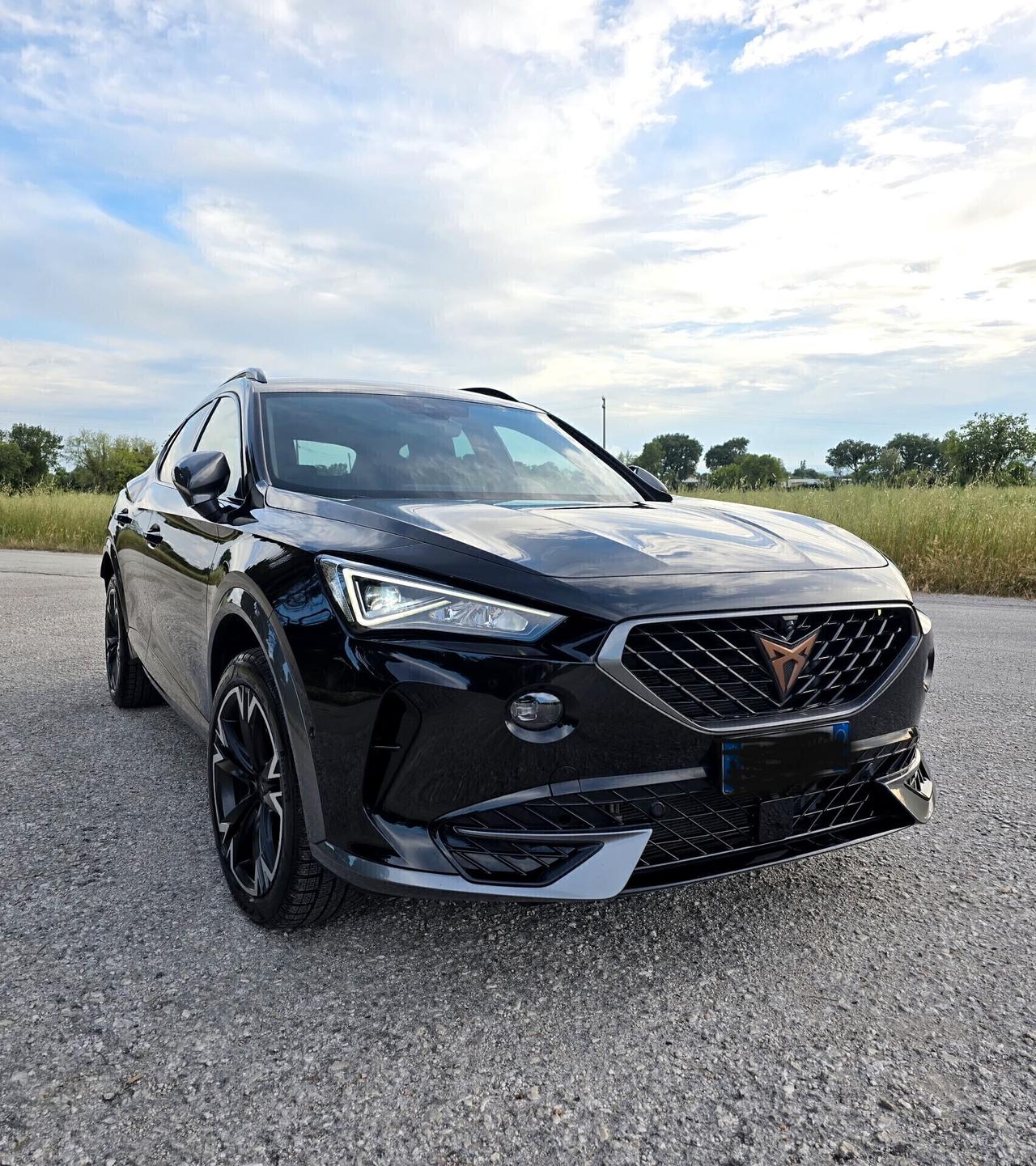 Cupra Formentor 2.0 TDI 4Drive DSG 4x4
