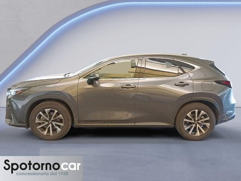 Lexus NX Hybrid 4WD Premium