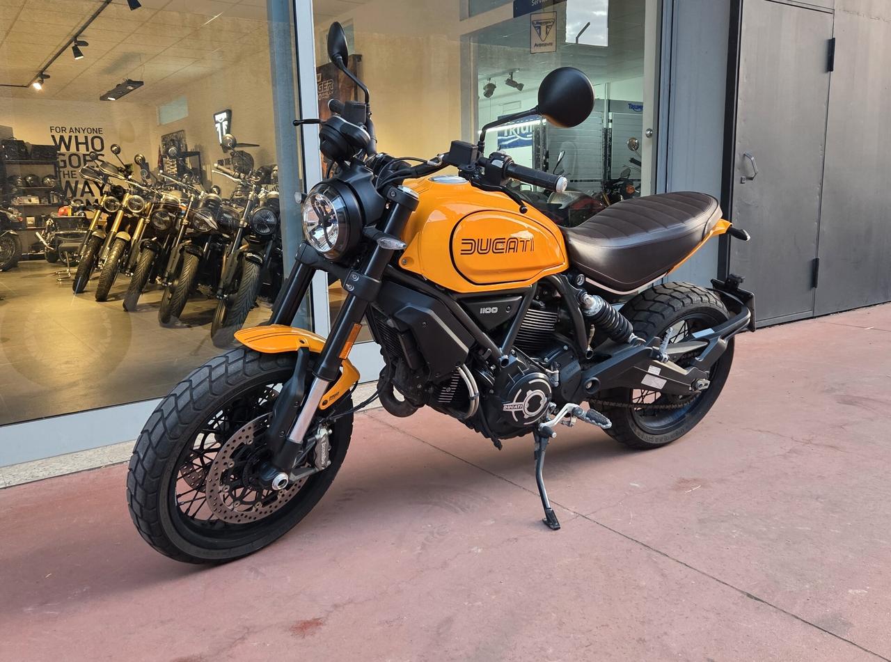 Ducati Scrambler 1100 TRIBUTE PRO