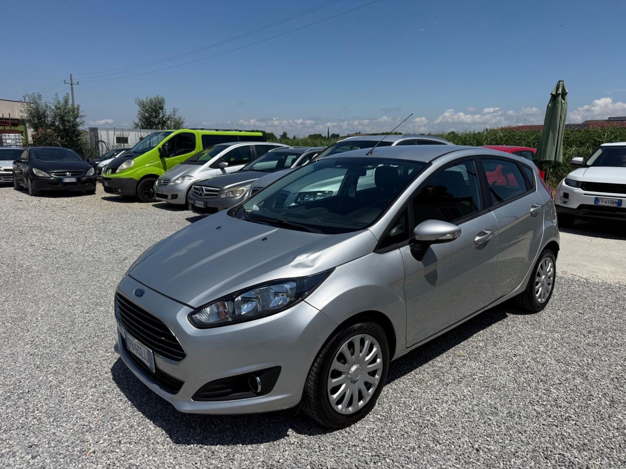 Ford Fiesta 1.4 5 porte Bz.- GPL Black & White Edition