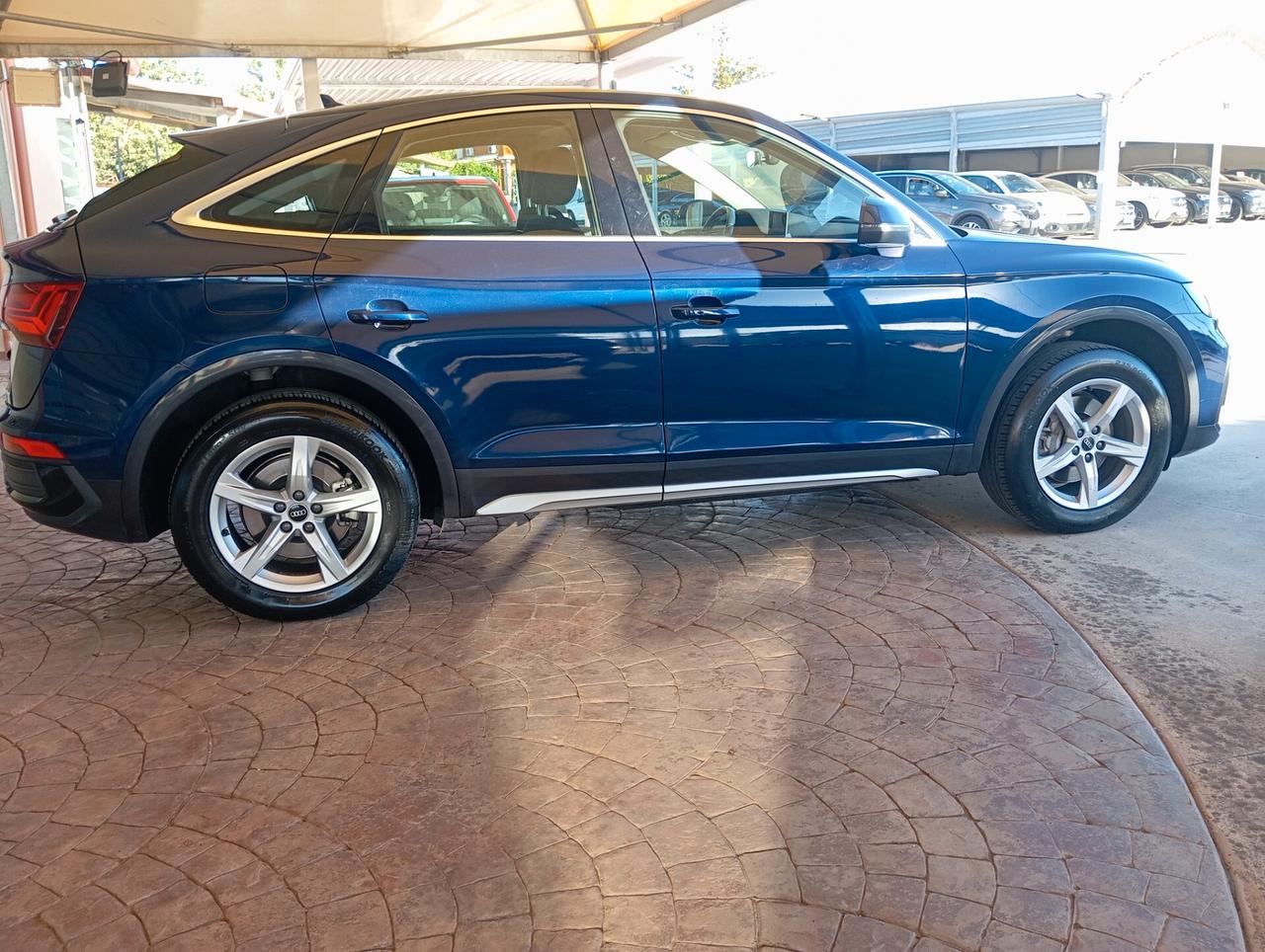 Audi Q5 40 TDI 204 CV quattro S tronic Business Advanced