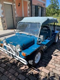 Moke Moke 1.0i cat