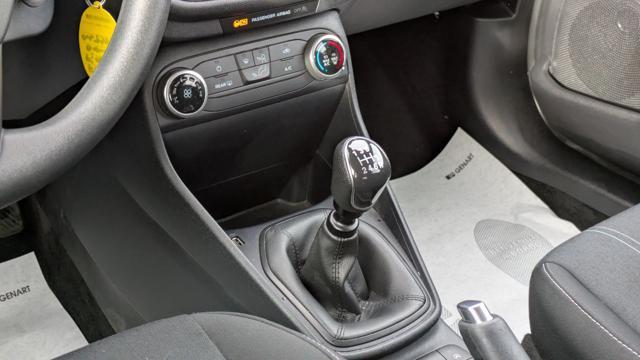 FORD Fiesta 1.5 ECOBLUE BUSINESS 85cv UNICO PROPIETARIO