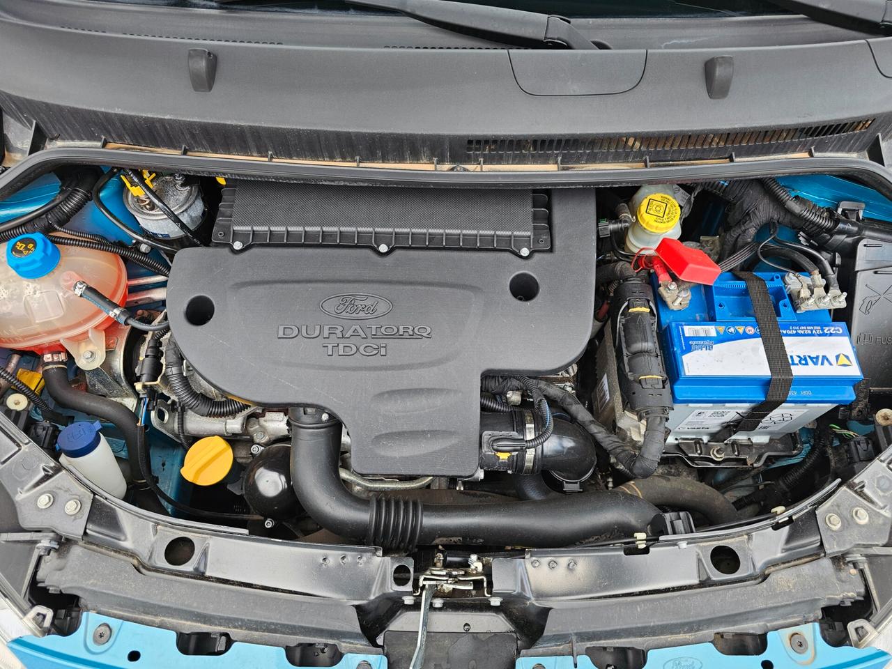 Ford Ka Ka+ 1.3 TDCi 75CV