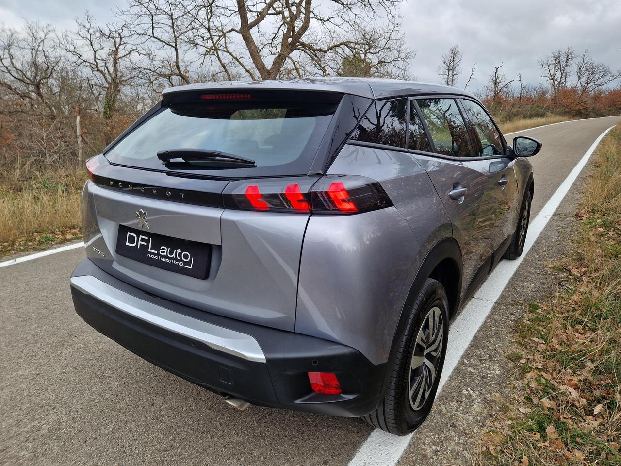 Peugeot 2008 BlueHDi 110 S&S ACTIVE