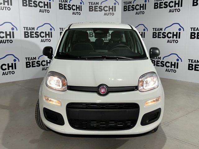 FIAT Panda 1.0 FireFly 70CV Hybrid 5P. MY25