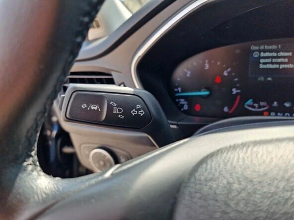 Ford Focus 1.5 EcoBlue 120 CV automatico SW Business Co-Pilot