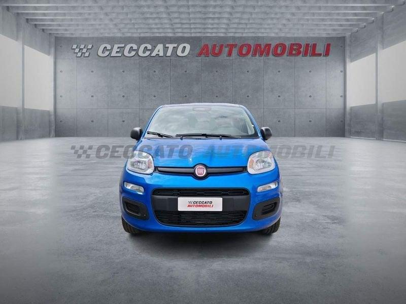 FIAT Panda Panda 1.0 firefly hybrid s&s 70cv