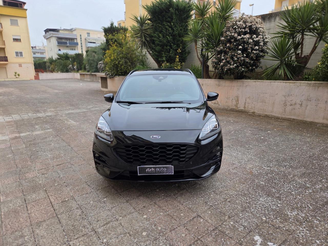 Ford Kuga 1.5 EcoBlue 120 CV aut. 2WD ST-Line X