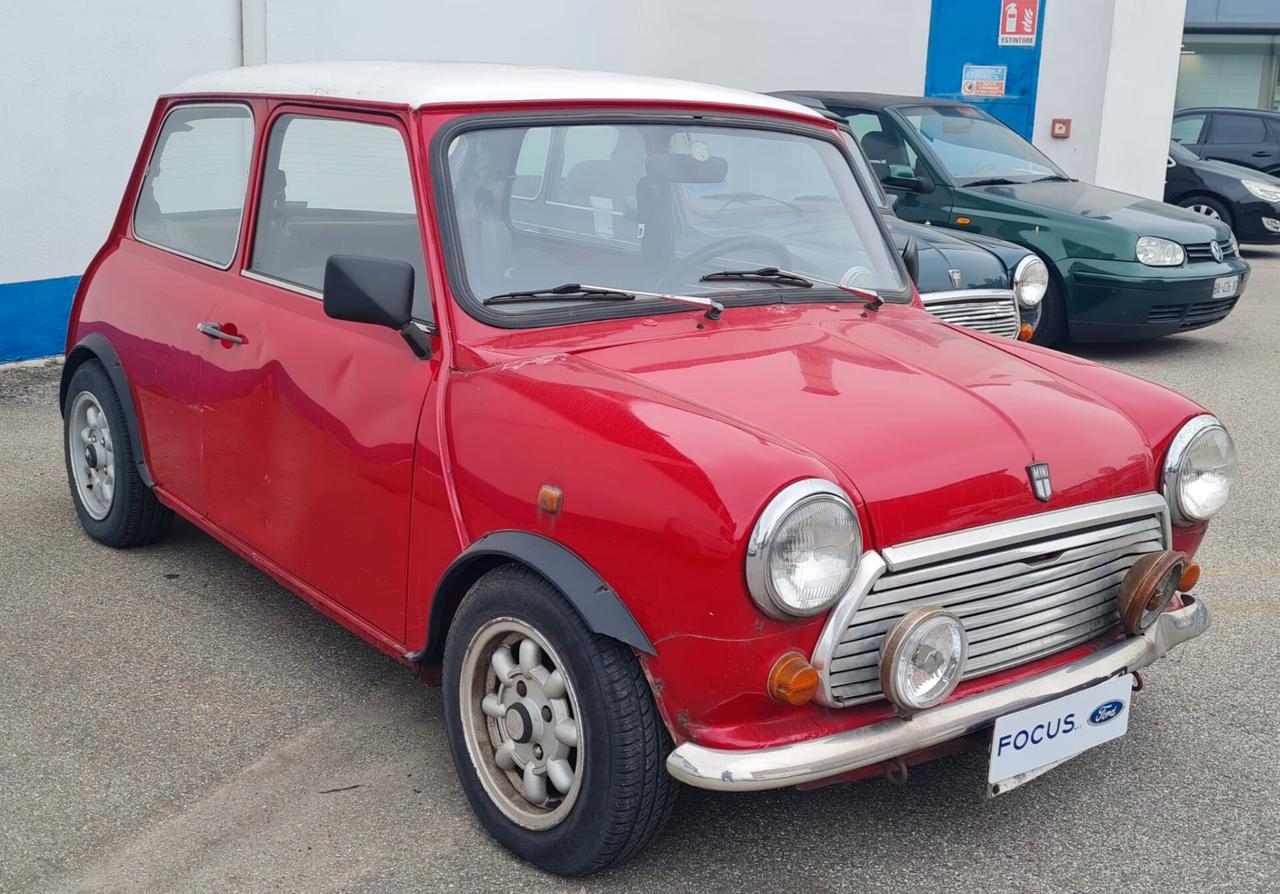 Rover Mini 1.0