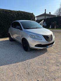 Lancia Ypsilon 0.9 TwinAir 85 CV 5 porte Metano Ecochic Elefantino
