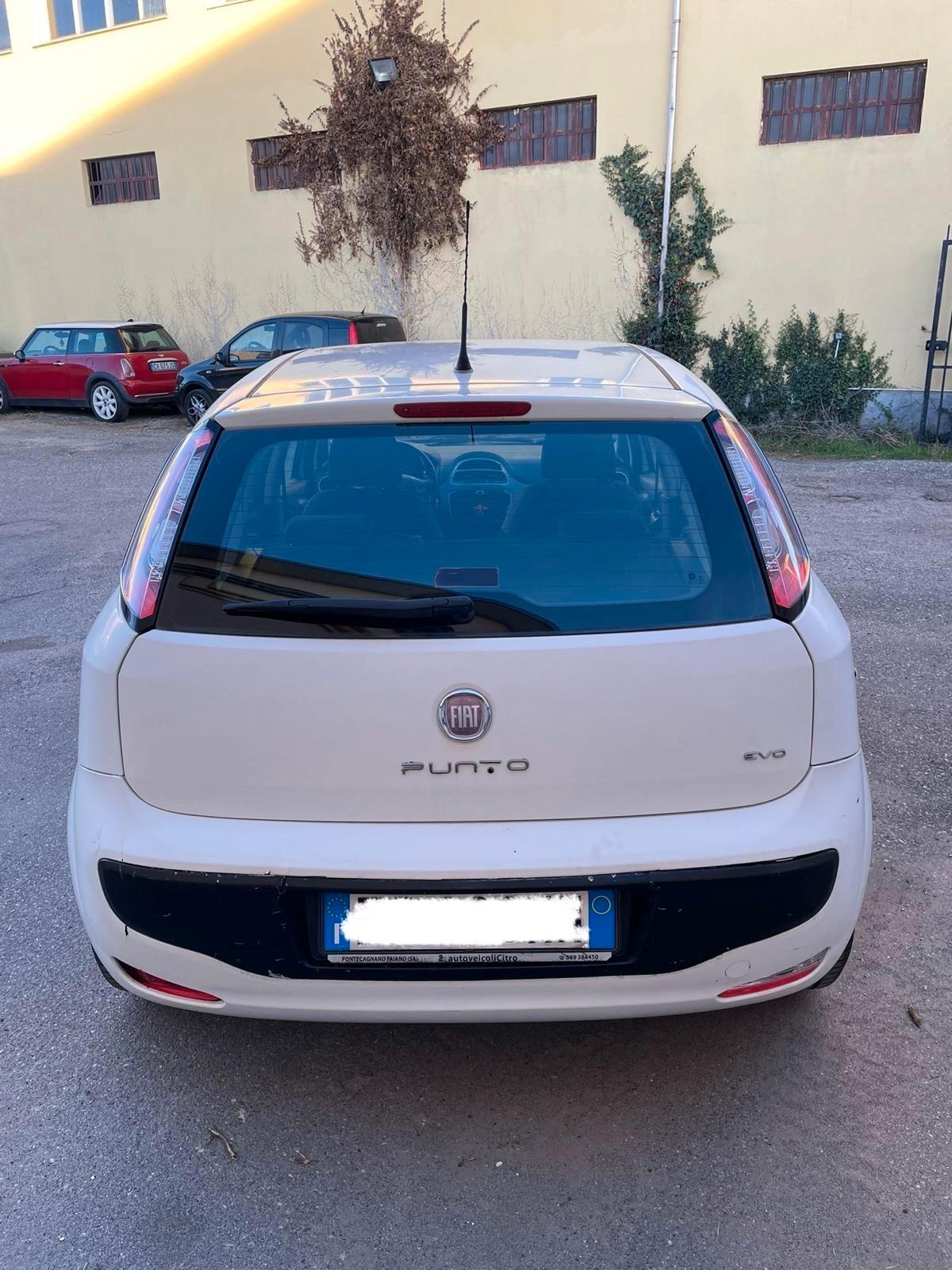 Fiat Punto Evo 1.2 5 porte Dynamic