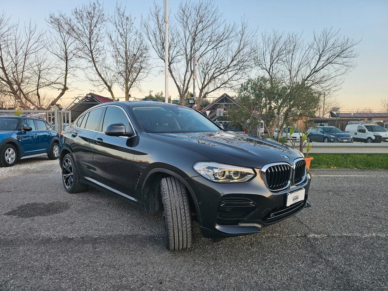 Bmw X4 xDrive20d xLine