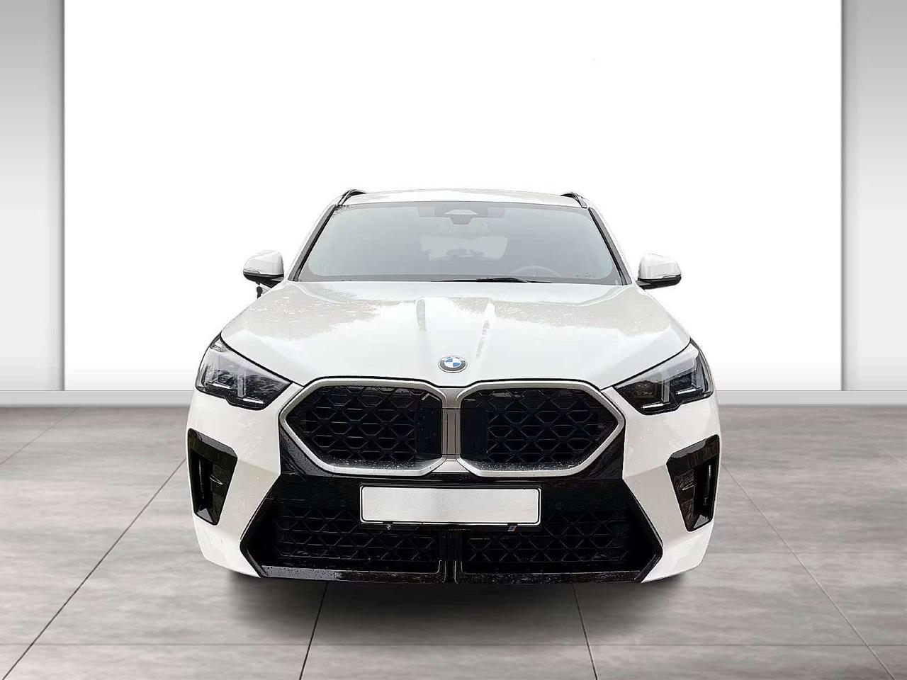 BMW X2 X2 sdrive 18d MSport auto