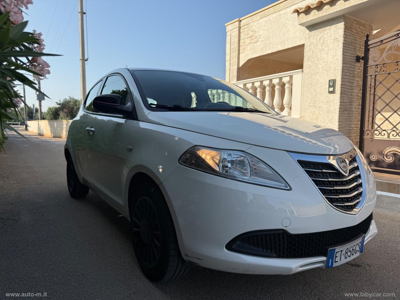 LANCIA Ypsilon 1.2 69 CV 5p. Elefantino