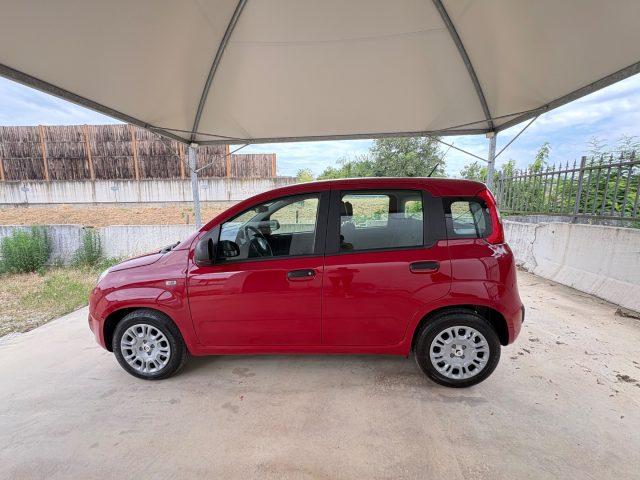 FIAT Panda 1.0 FireFly S&S IBRIDA COME NUOVA