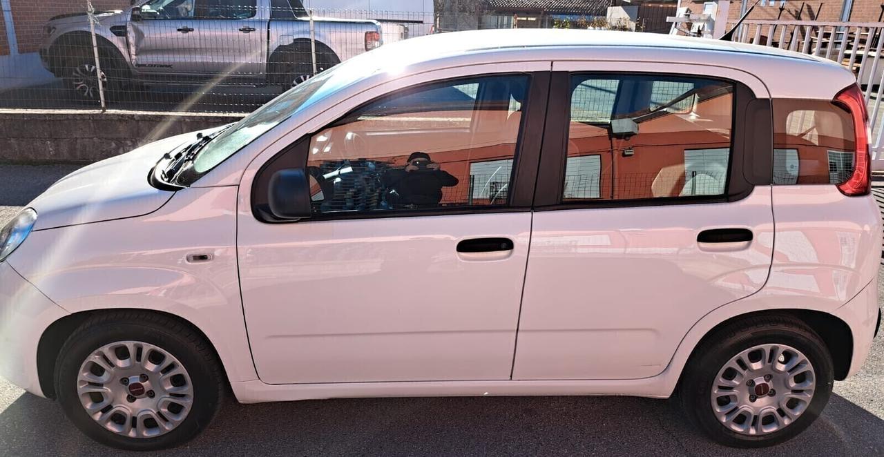 FIAT PANDA IBRIDA DEL 2022 €8900