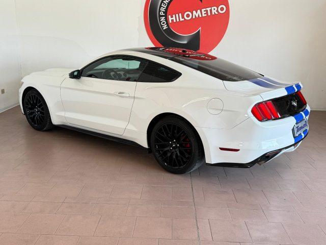 FORD Mustang FASTBACK 2.3 EcoBoost