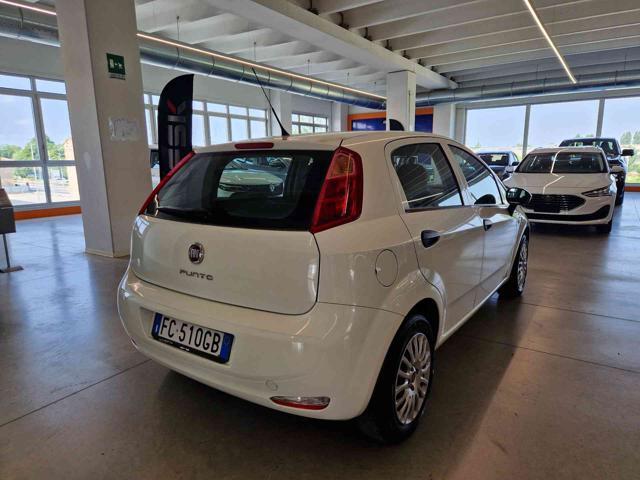 FIAT Punto 1.2 8V 5 porte Young
