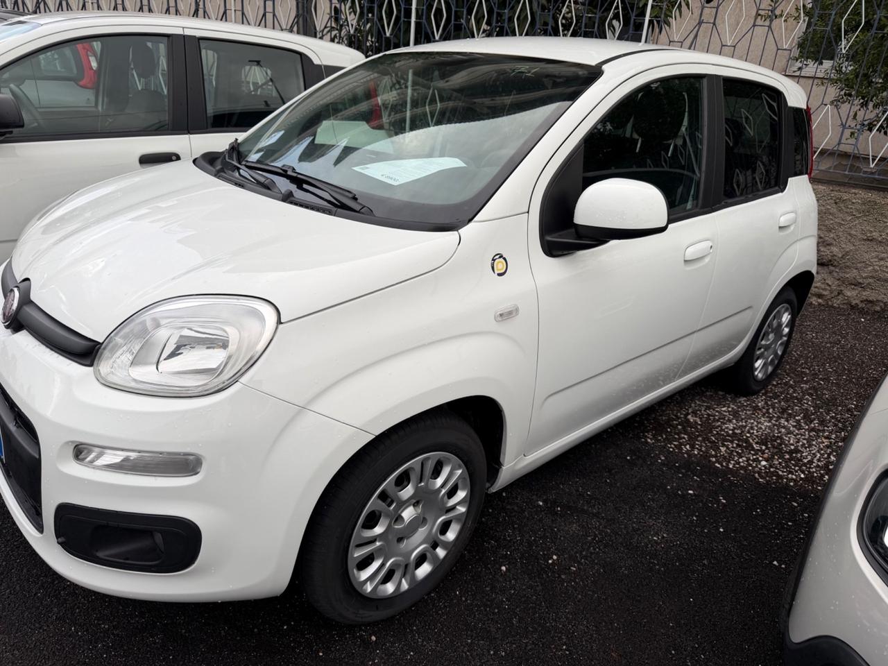 Fiat Panda 1.2 Easy Van 4 posti