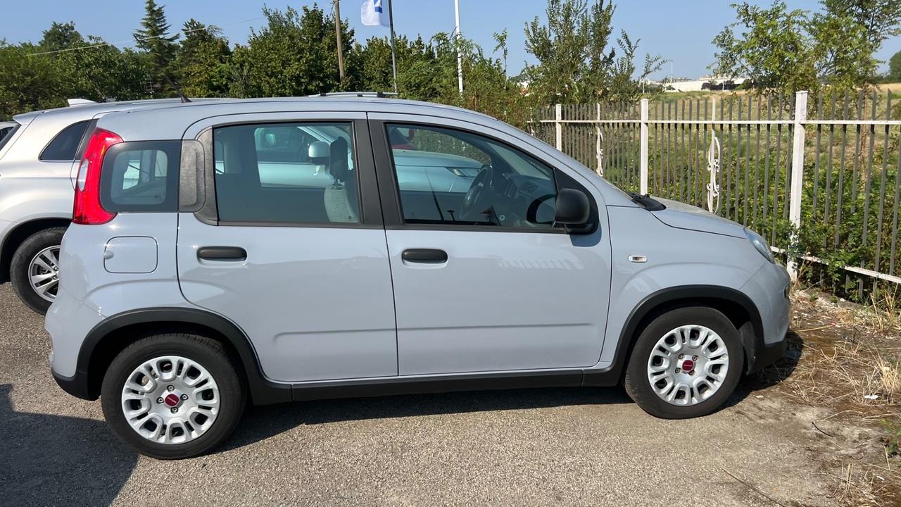 Fiat Panda 1.0 FireFly S&S Hybrid
