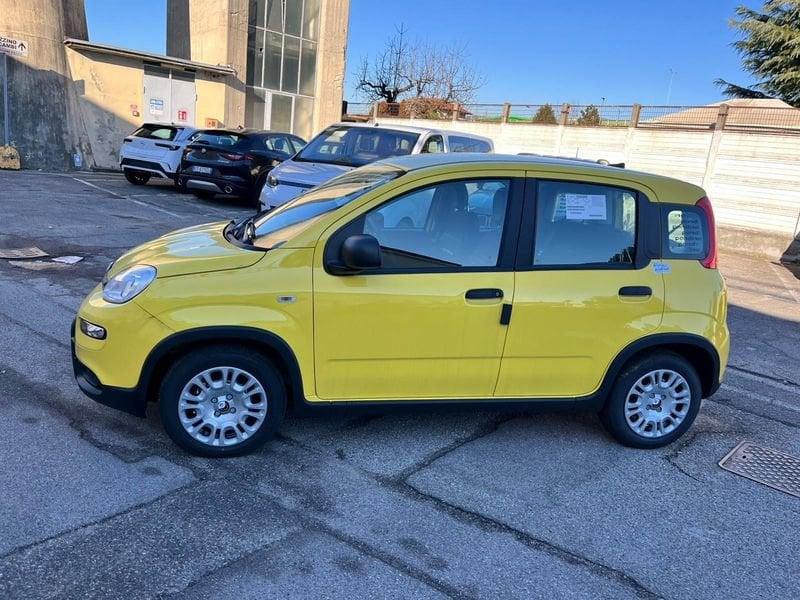 FIAT Panda 1.0 FireFly S&S Hybrid Pandina