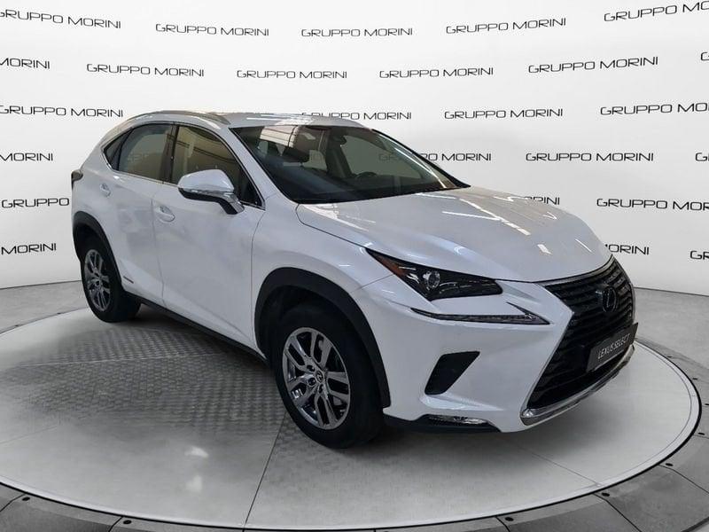 Lexus NX Hybrid 4WD Premium