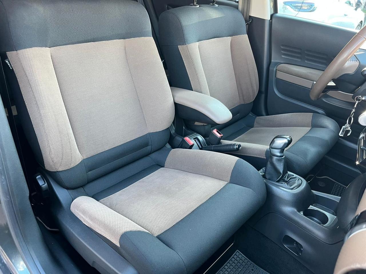 Citroen C4 Cactus BlueHDi 100 Rip Curl