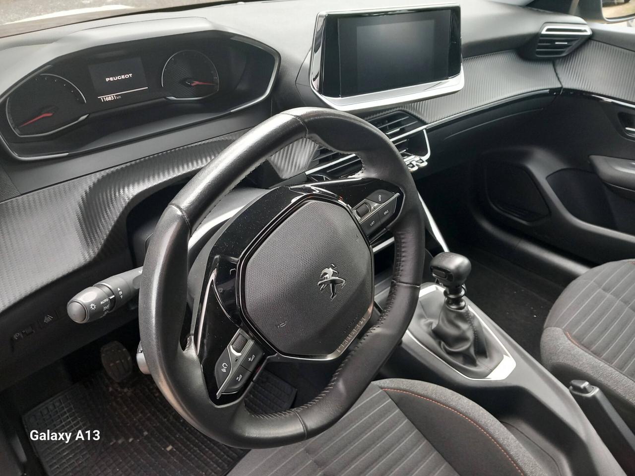 Peugeot 208 BlueHDi 100 Stop&Start 5 porte Active