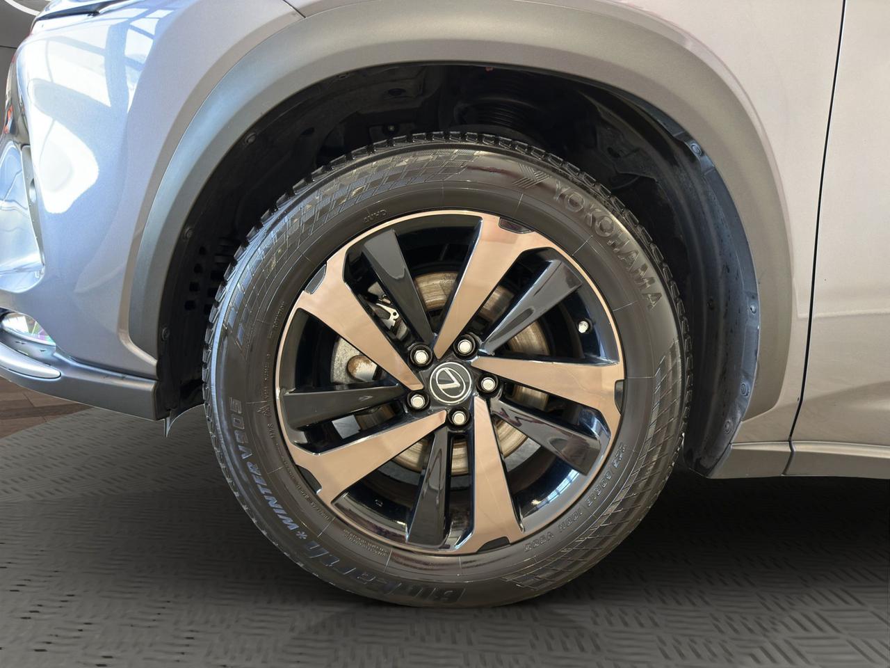Lexus NX 300h 2.5 Premium 4wd cvt