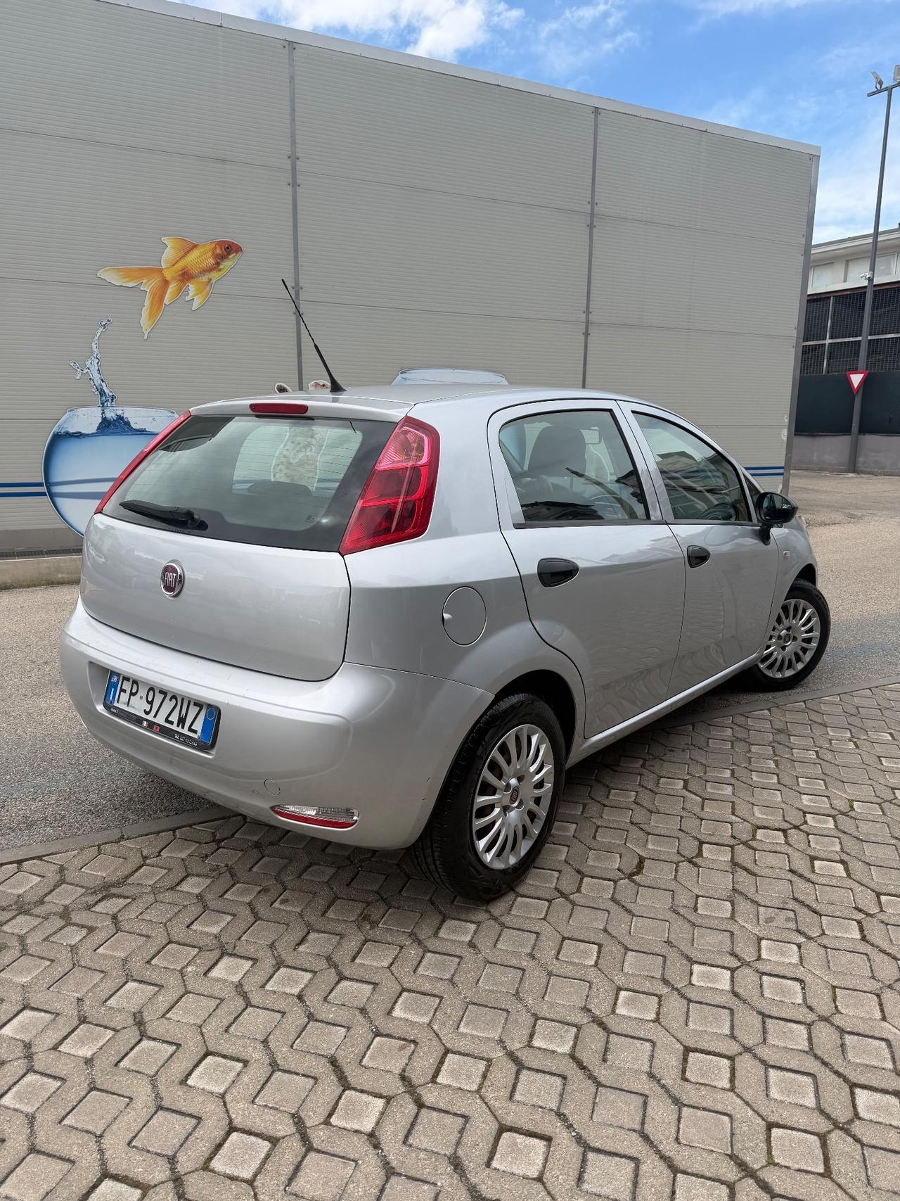 Fiat Punto 1.3 MJT II S&S 95 CV 5 porte Street