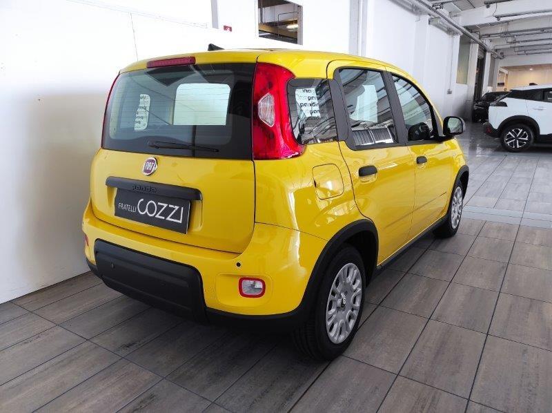 FIAT Panda 3ª serie - Panda 1.0 FireFly S&S Hybrid