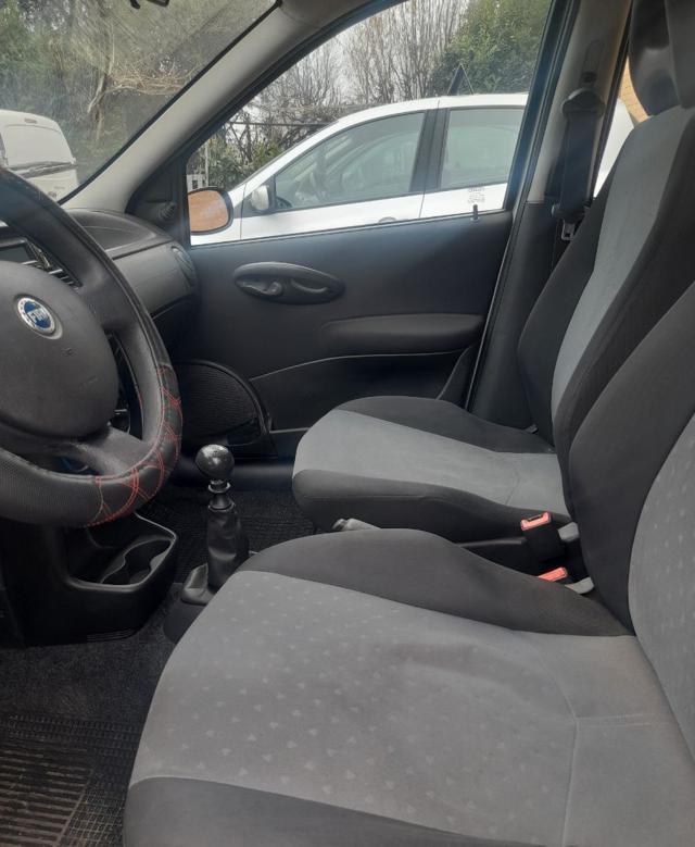 FIAT Punto 1.2 5 porte Active Natural Power