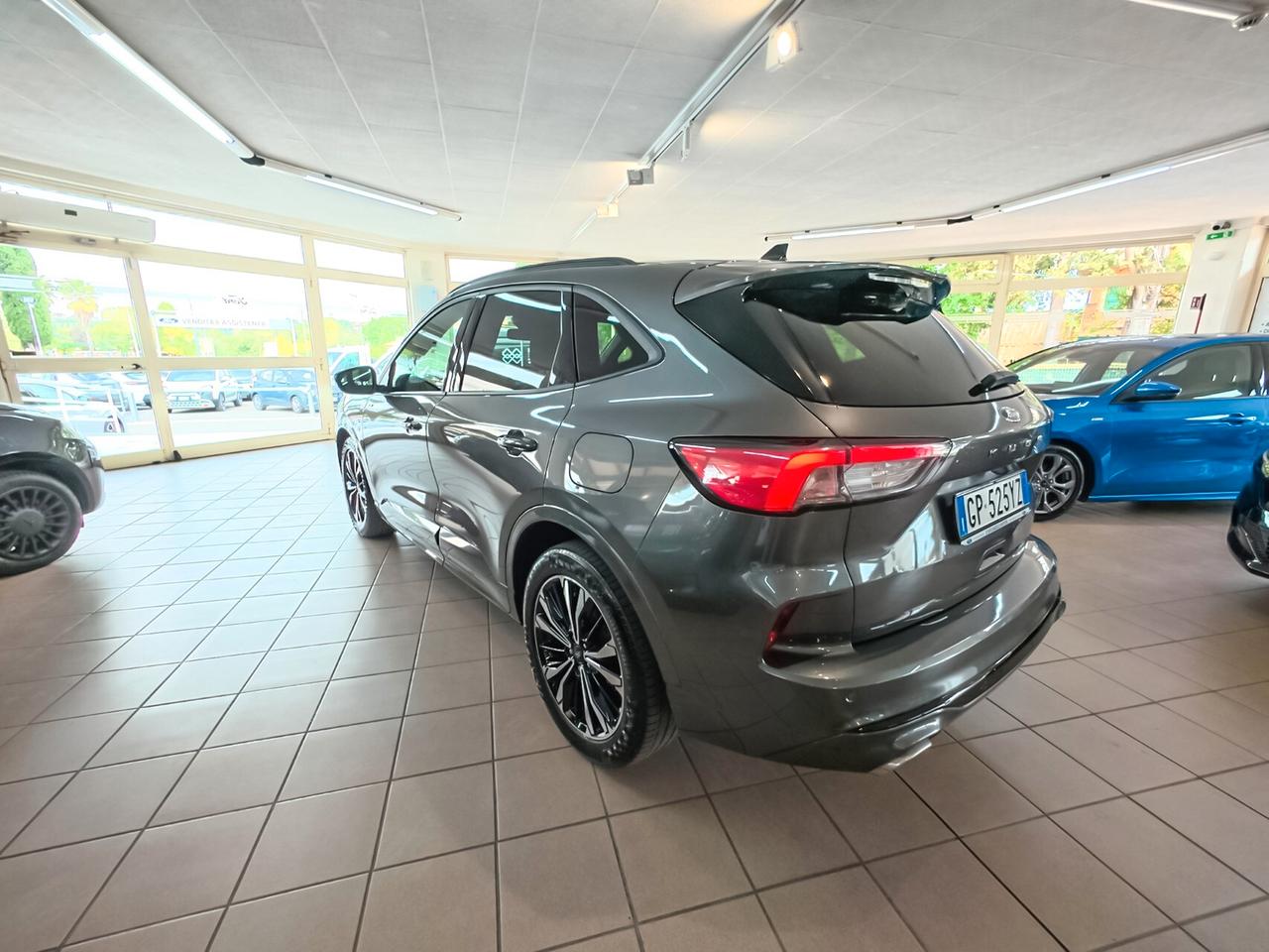 Ford Kuga 2.0 EcoBlue 120 CV aut. 2WD ST-Line X