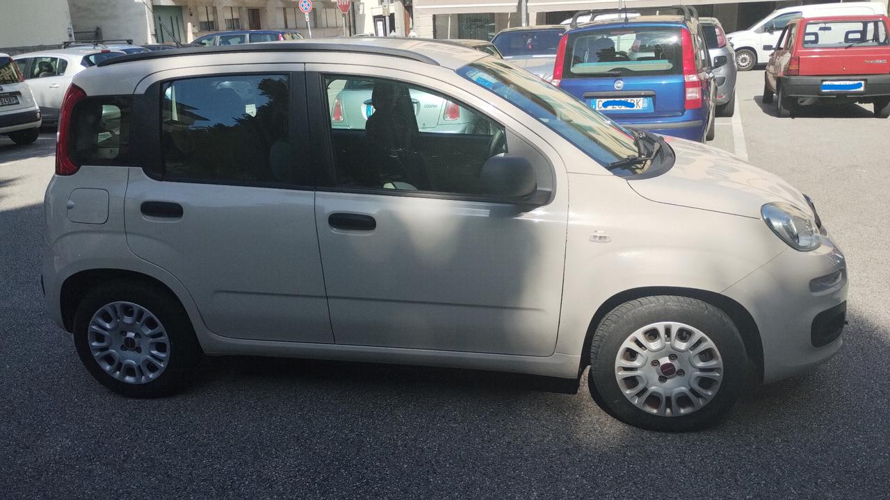 Fiat Panda 1.2 EasyPower Easy NEOPATENTATI