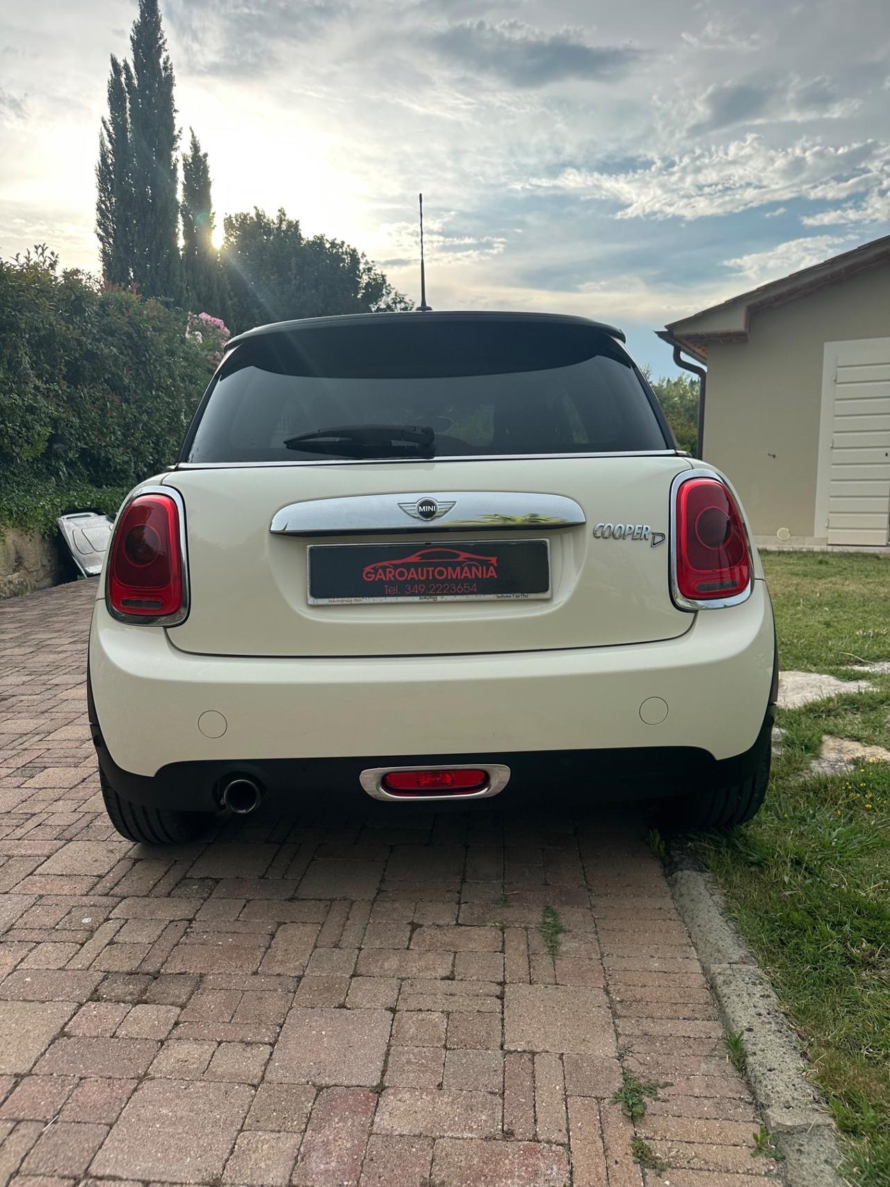 Mini 1.5 One D