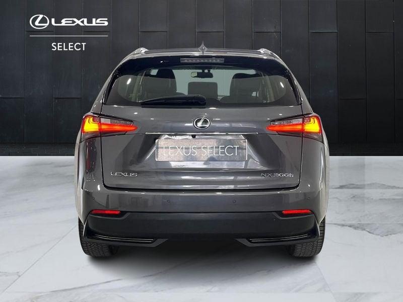 Lexus NX NX 300h 2.5 Executive 4wd cvt