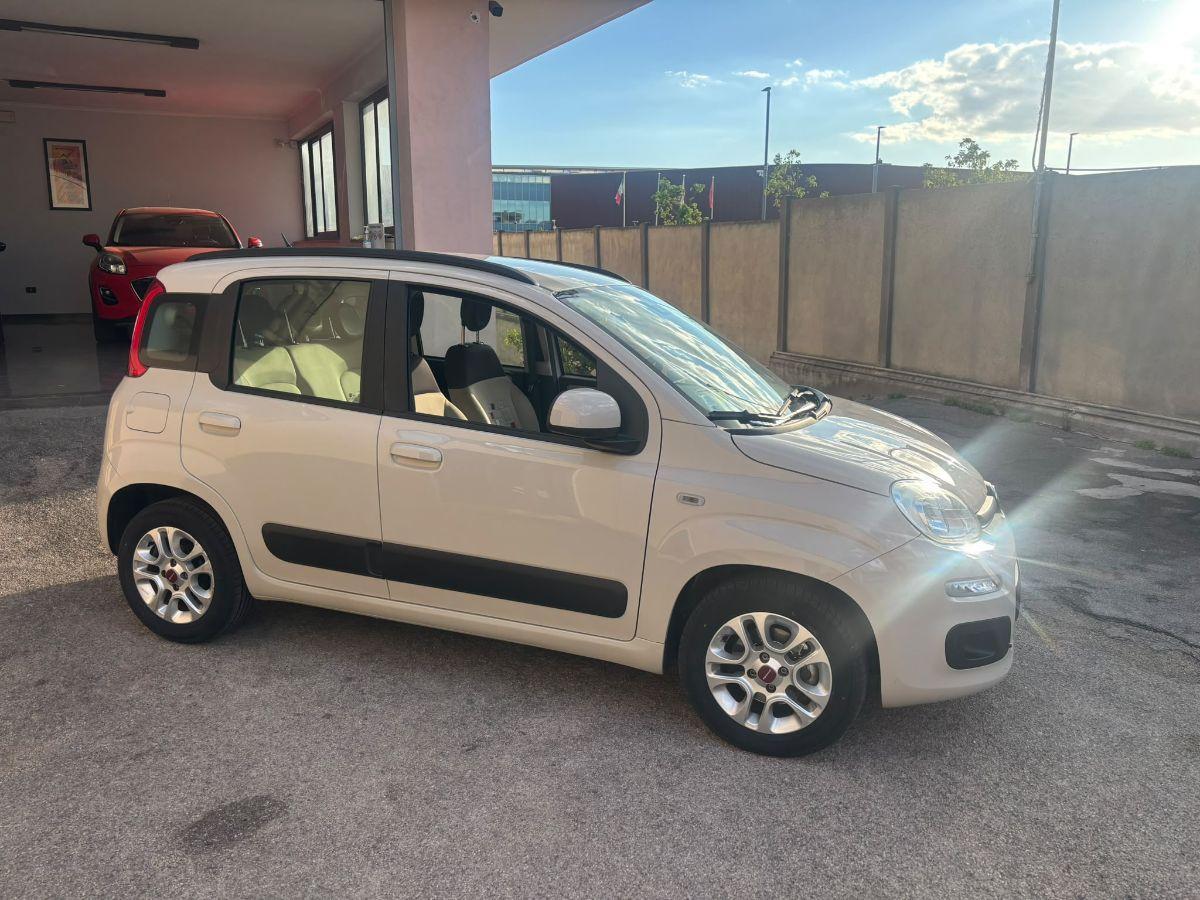 FIAT Panda 0.9 TwinAir Turbo S&S Lounge Cambio Automatico 5posti