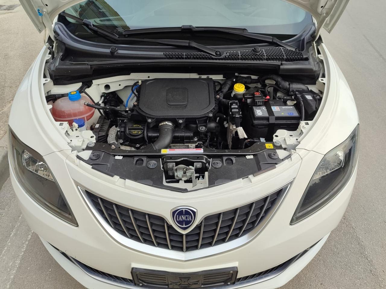 Lancia Ypsilon 1.0 FireFly SILVER 70CV